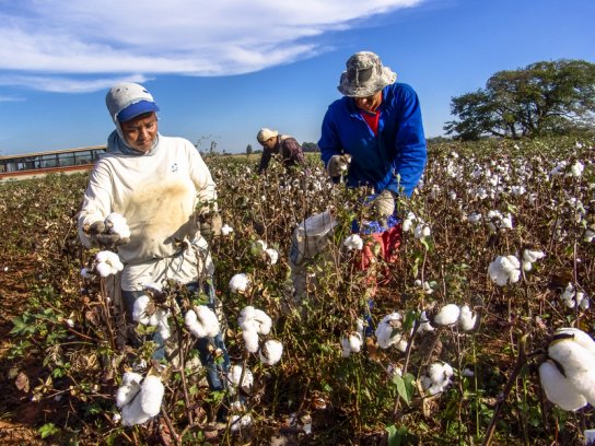 Better Cotton reinforces ties with Tajikistan